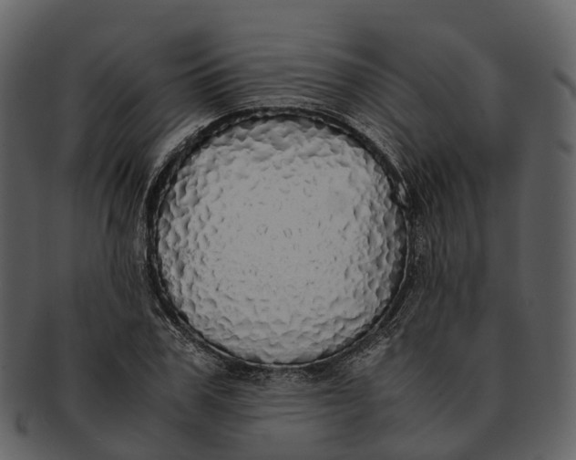 X0000092330979200710051312
