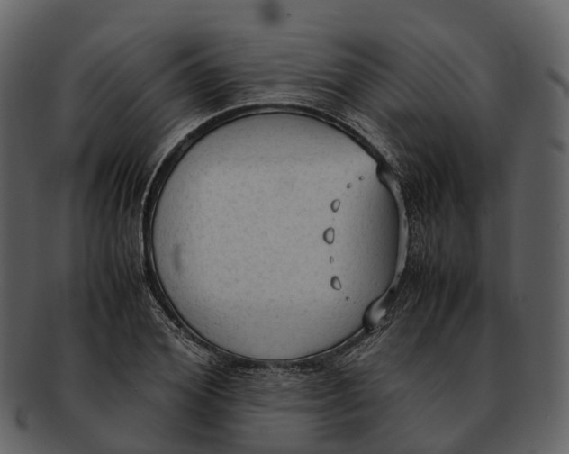 X0000092330980200710051312