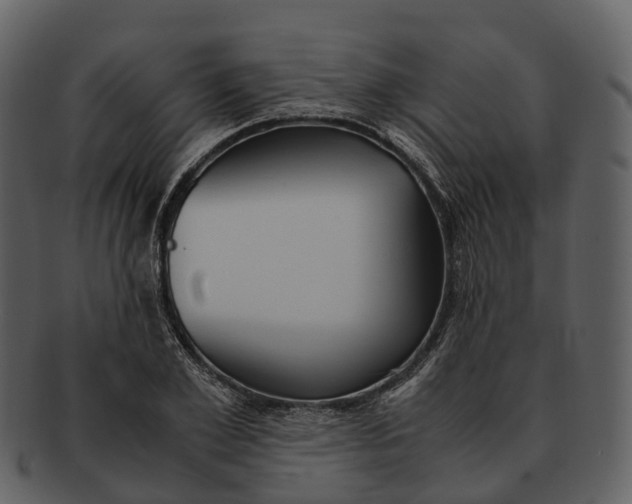 X0000092330981200710051312
