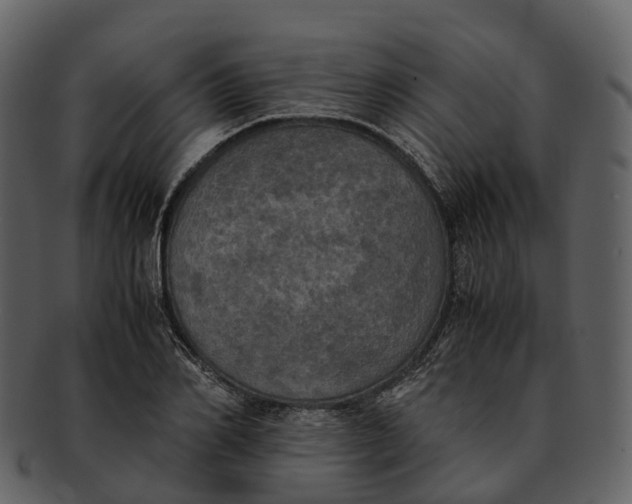X0000092330982200710051312