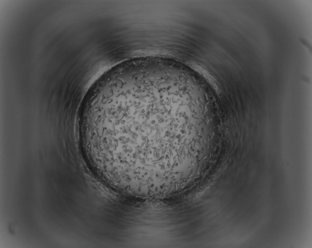 X0000092330983200710051311