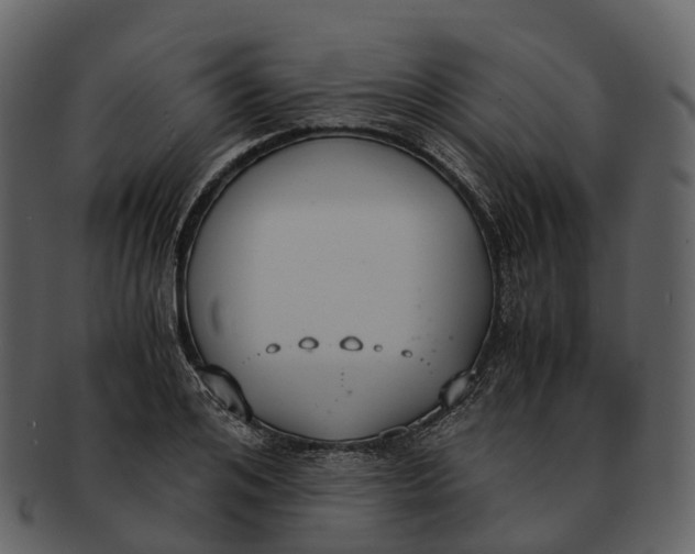 X0000092330984200710051311