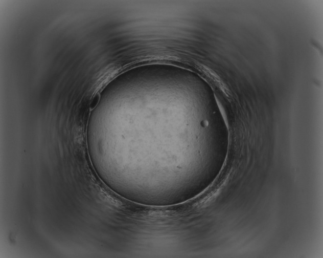 X0000092330985200710051311