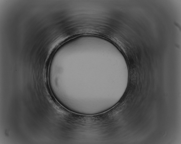 X0000092330987200710051311