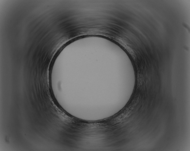 X0000092330988200710051311