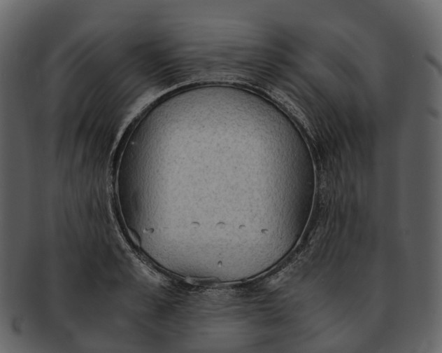 X0000092330989200710051311