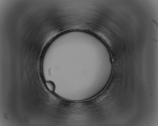 X0000092330991200710051311