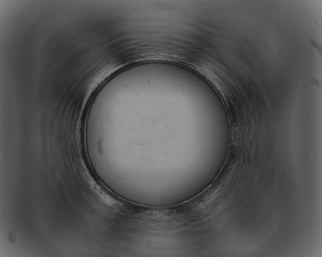X0000092330995200710051311