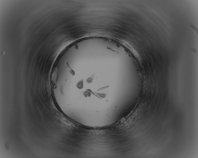 X0000092330996200710051311