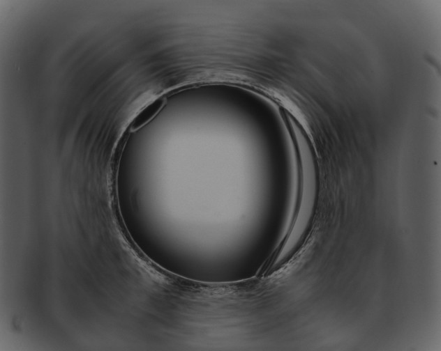 X0000092330997200710051311