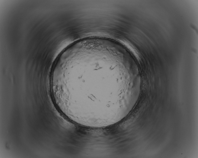X0000092330999200710051311