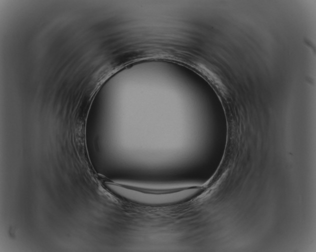 X0000092331001200710051311