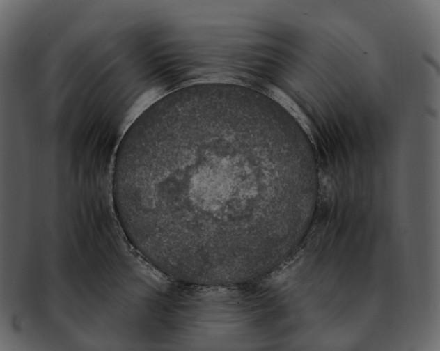 X0000092331002200710051311