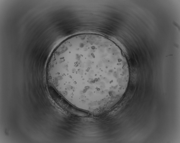 X0000092331004200710051311