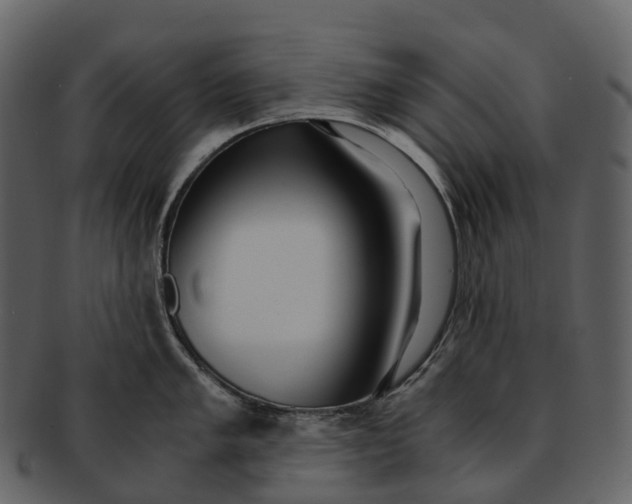 X0000092331005200710051311