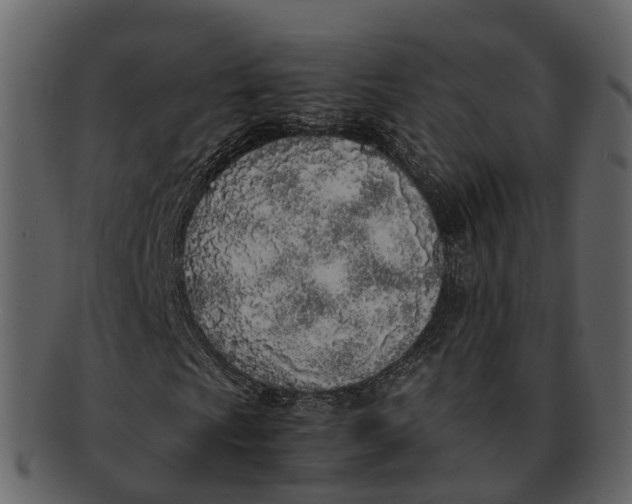 X0000092331009200710051311