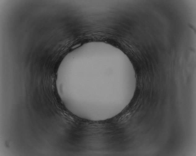 X0000092331010200710051311