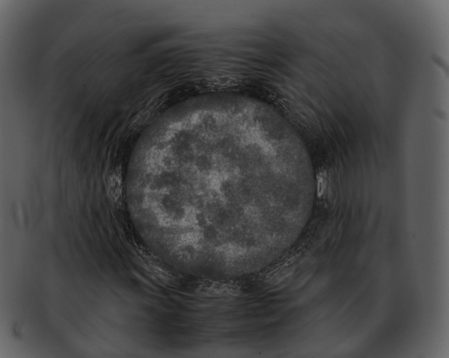 X0000092331011200710051311