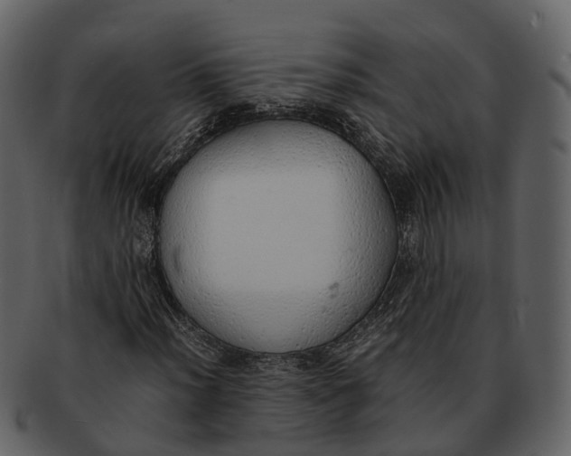 X0000092331012200710051311