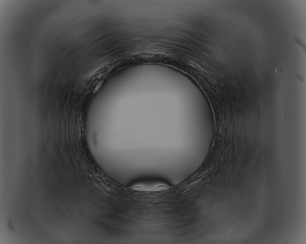 X0000092331014200710051311