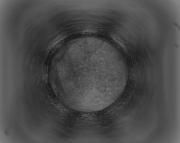 X0000092331015200710051311