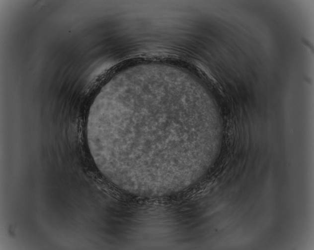 X0000092331016200710051311