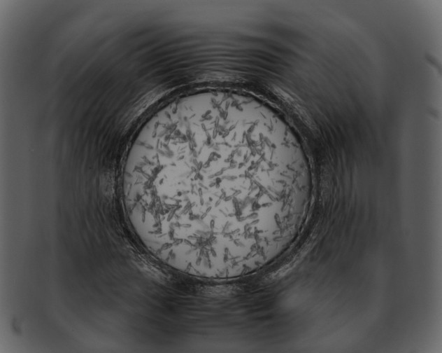 X0000092331017200710051311