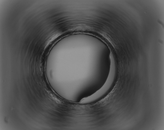 X0000092331018200710051311