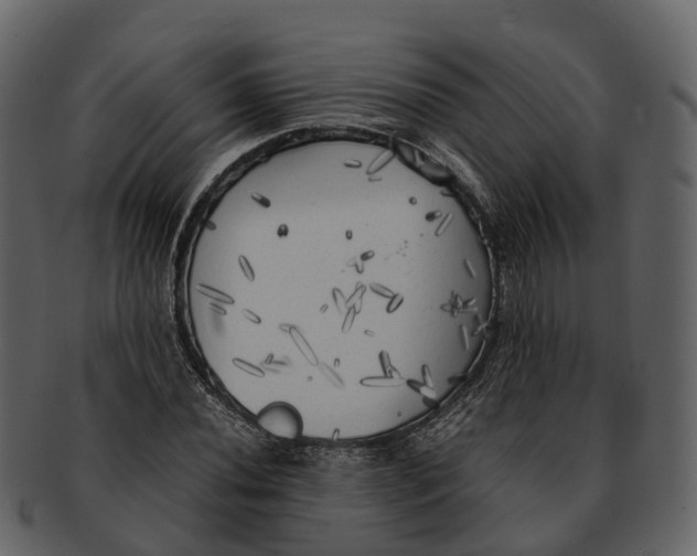 X0000092331020200710051311