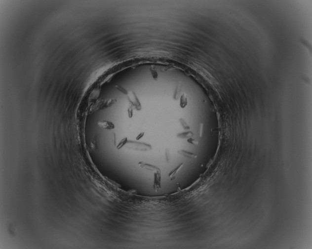 X0000092331022200710051311