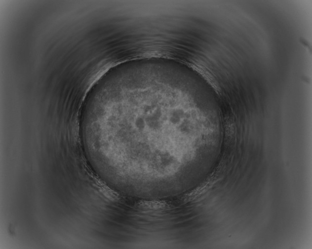 X0000092331023200710051311