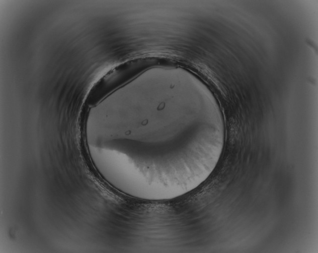 X0000092331024200710051311