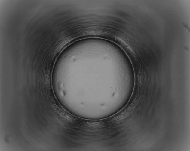 X0000092331025200710051311