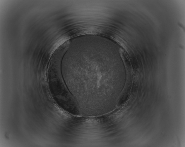 X0000092331026200710051311