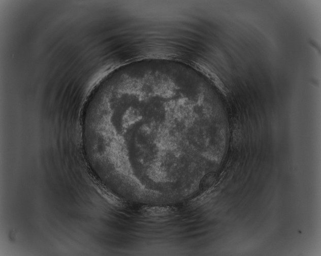 X0000092331027200710051311