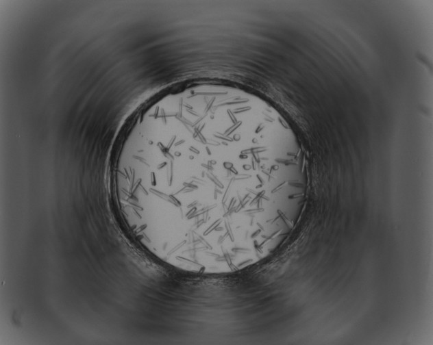 X0000092331028200710051311