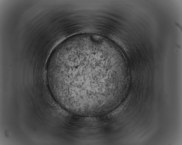 X0000092331029200710051311