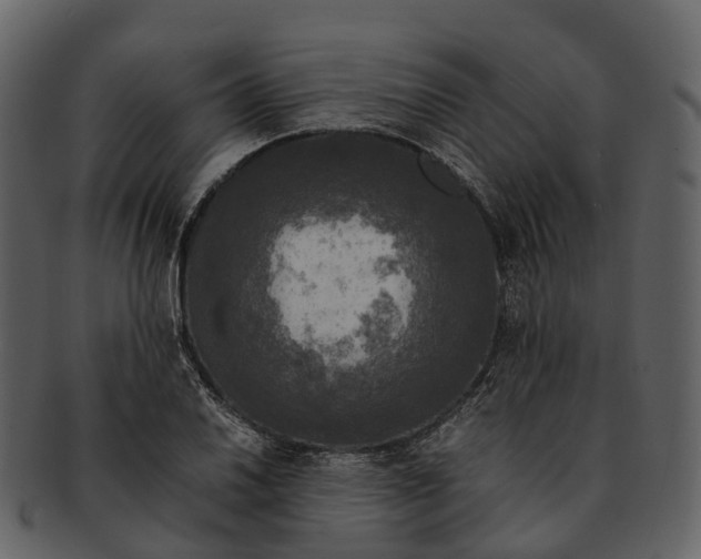 X0000092331030200710051311