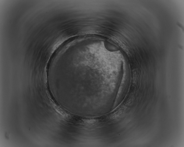 X0000092331031200710051311