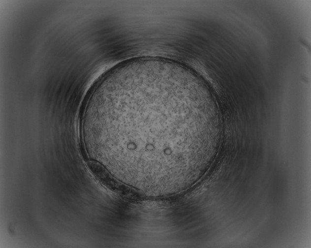 X0000092331032200710051311