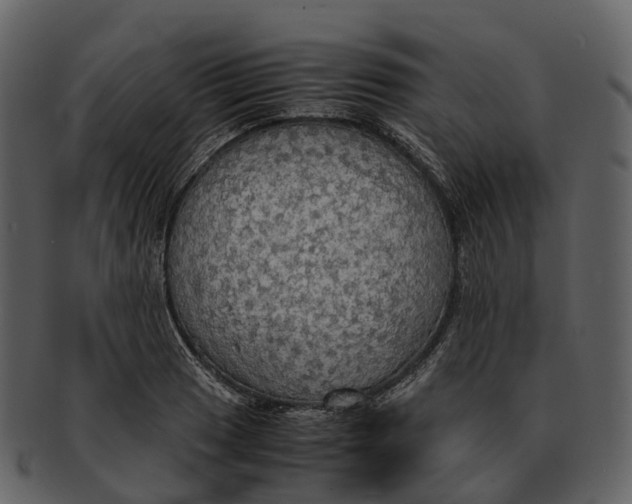 X0000092331033200710051311