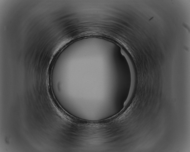 X0000092331034200710051311