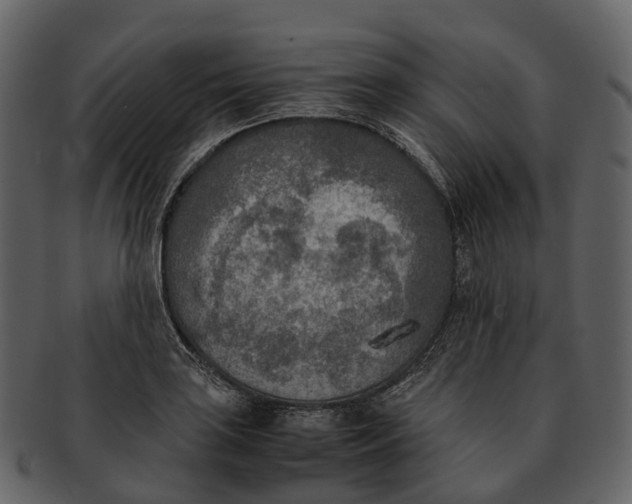 X0000092331035200710051311