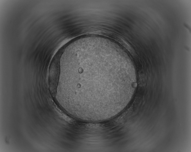X0000092331036200710051311
