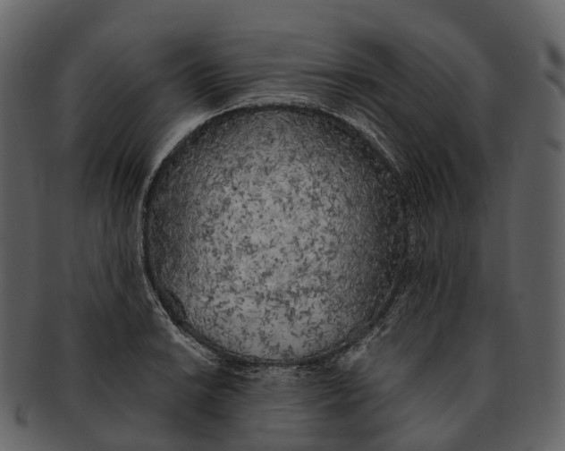 X0000092331038200710051311