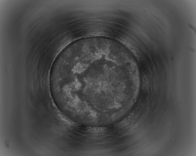 X0000092331039200710051311