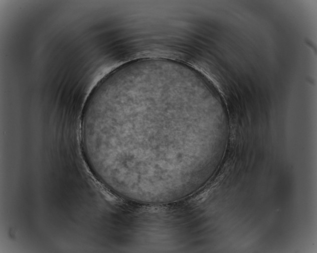 X0000092331040200710051311