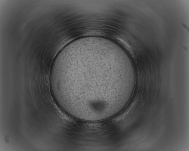 X0000092331041200710051311