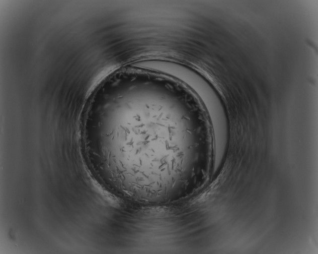X0000092331042200710051311