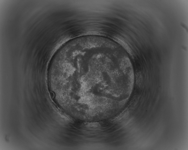 X0000092331043200710051311